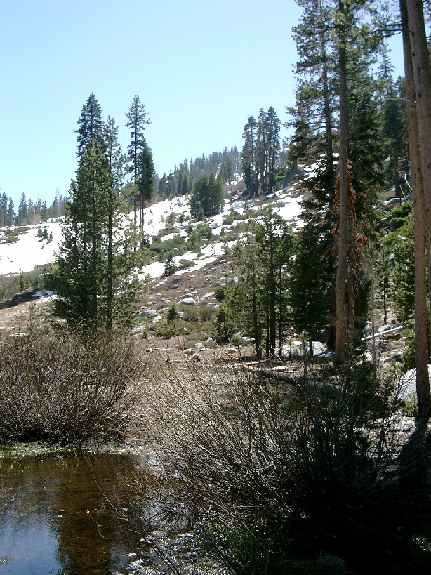 Echo Pass - Sierra Nevada